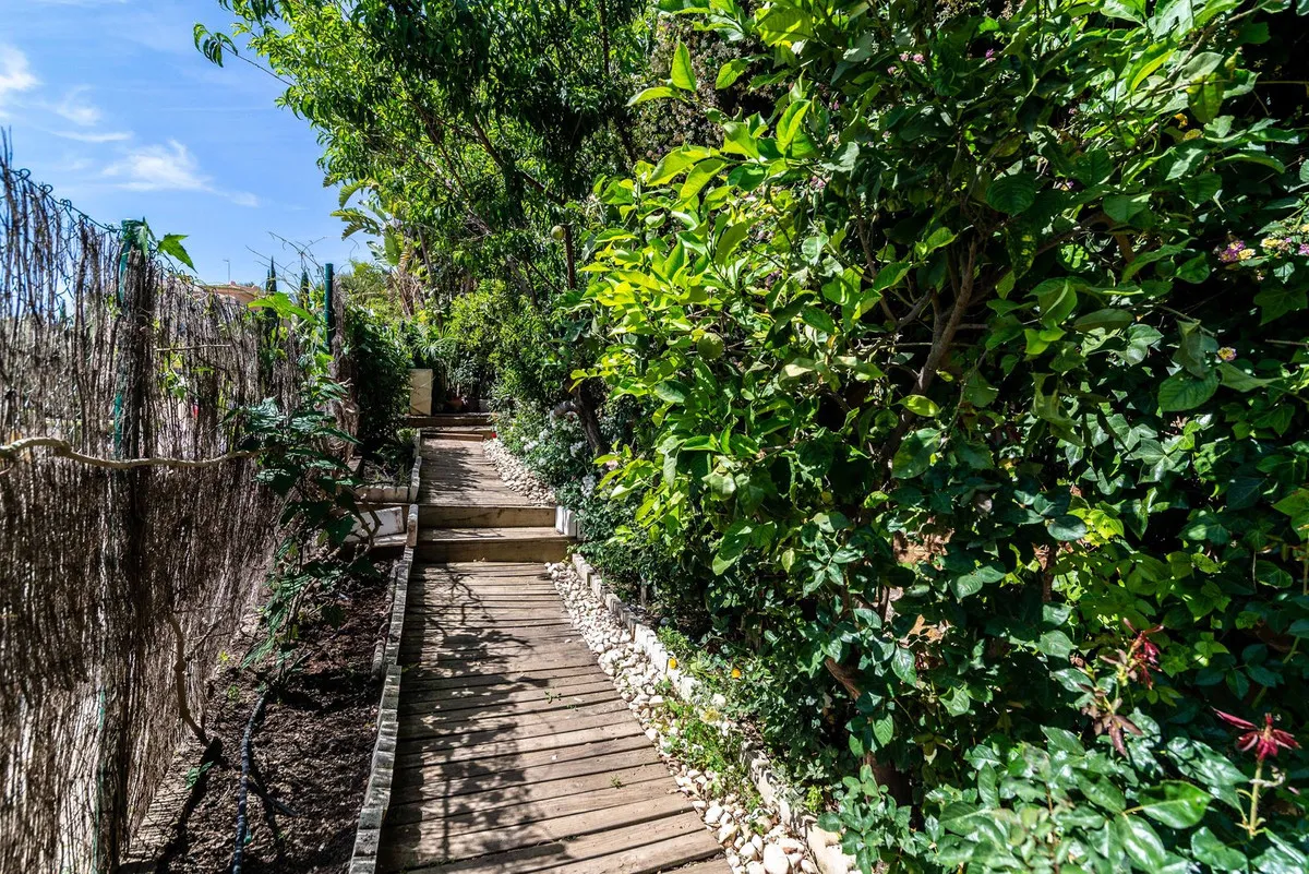 6062abfc-e425-4125-98f3-d1cf9d2b1d2a