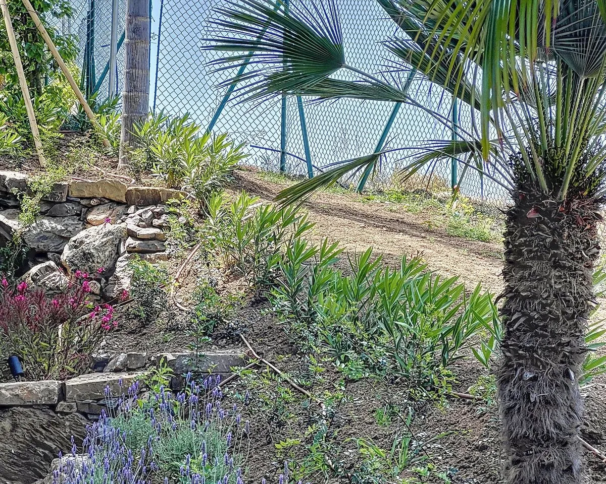 330a6780-8221-49ba-ae66-5f74c2be2196