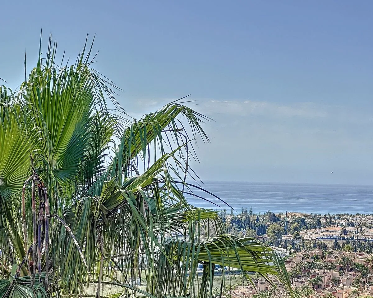 34565913-653c-41ed-b9e8-1001e5eb5bf0