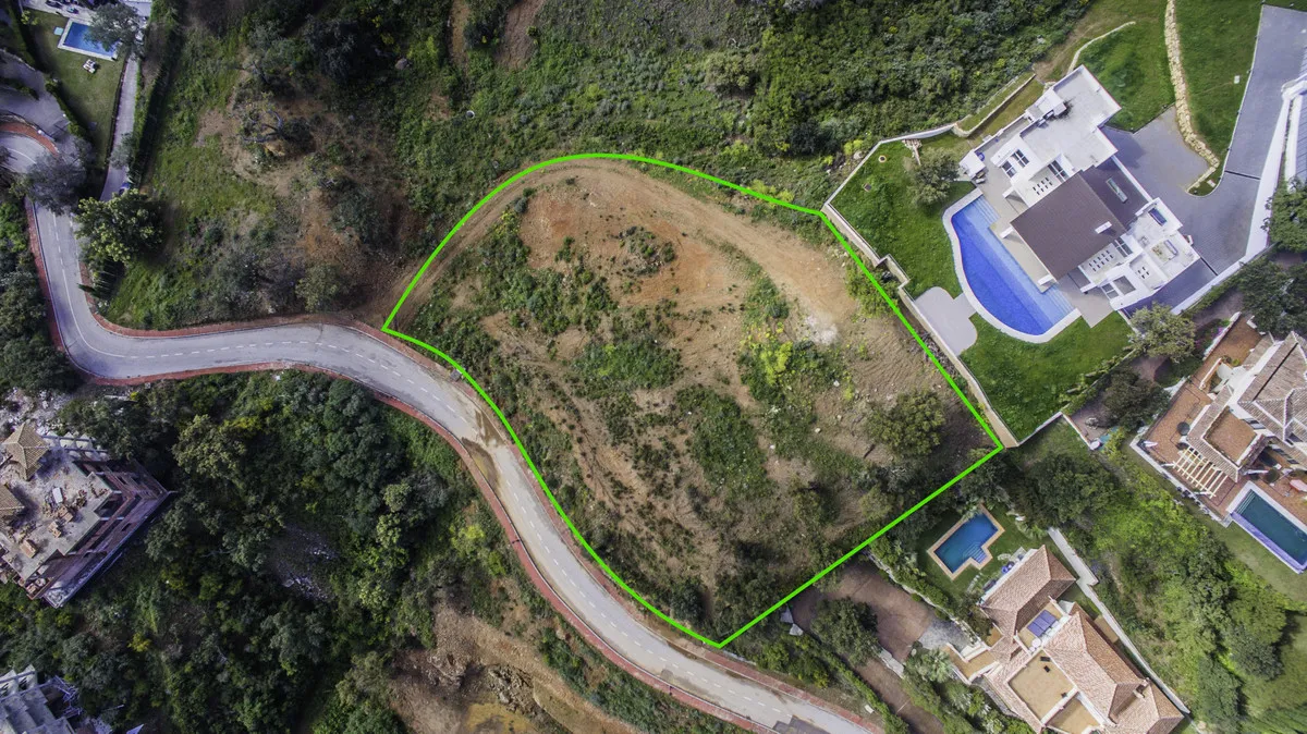 3ea18305-26d6-4067-ae97-de71d27ea692