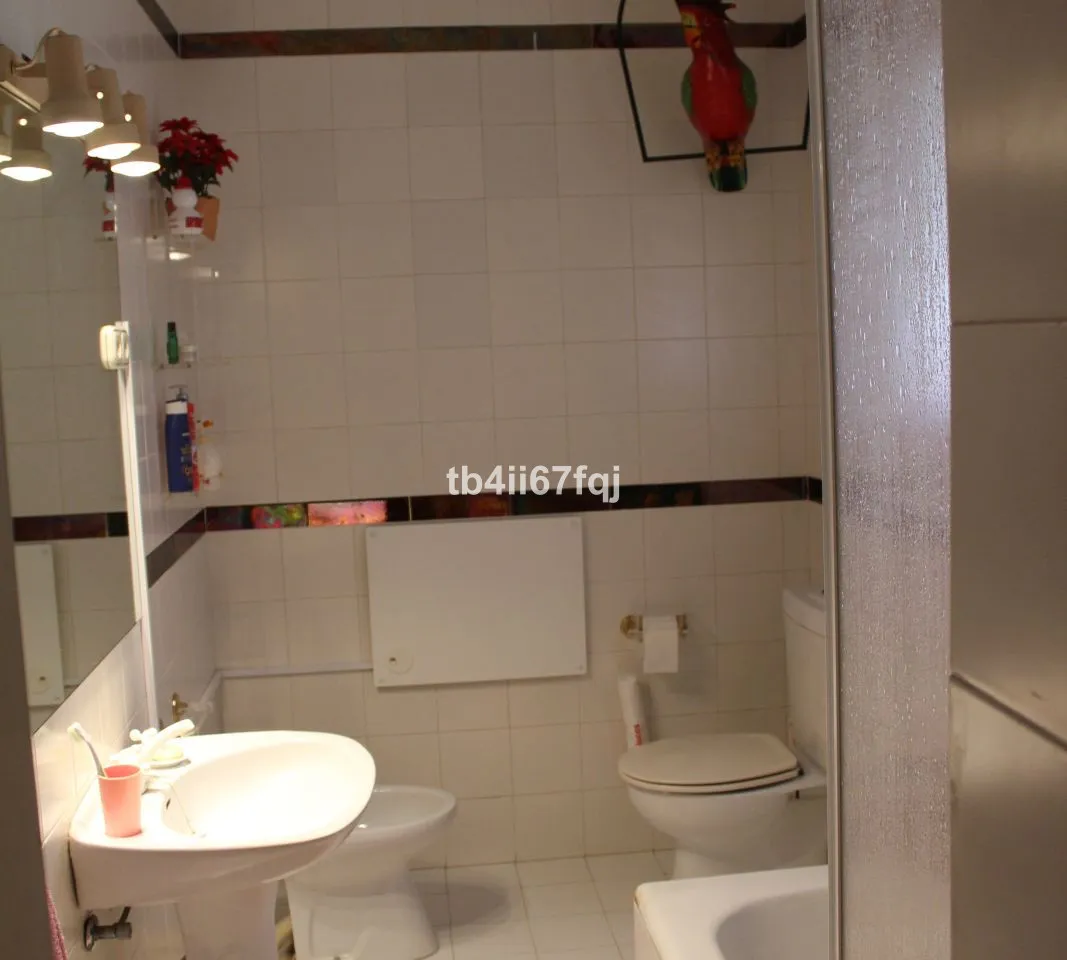 81e15896-af01-4675-8a96-1b5b5f4acf38