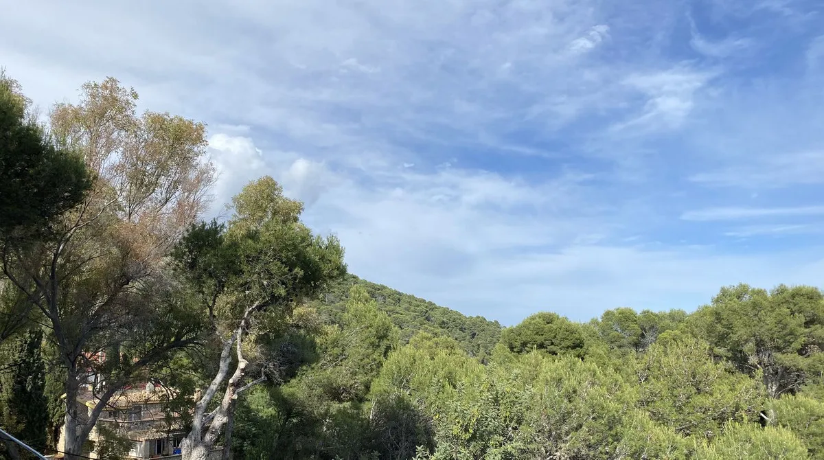 0ff87c47-f469-47ba-bffd-3b096fdb96a6