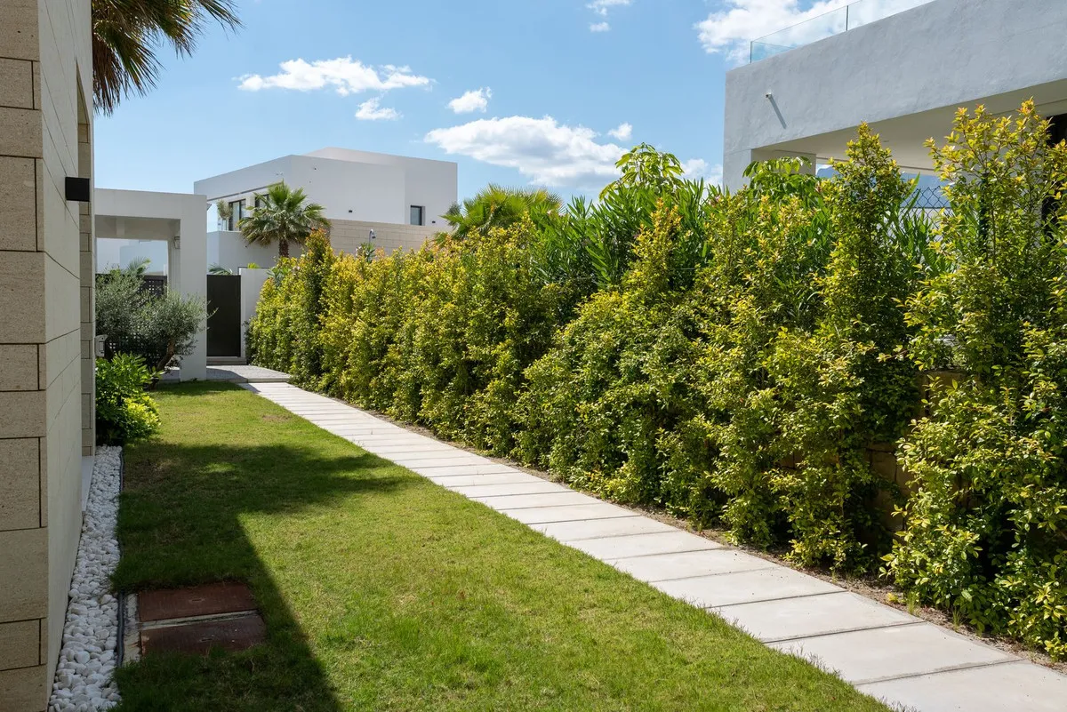 8e476591-f9ef-479d-a312-0e0418333488