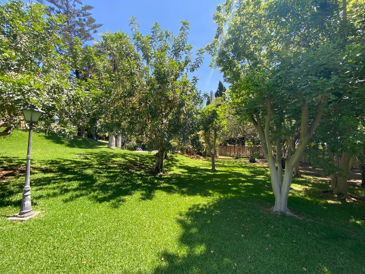 1610fe8d-4f2b-414c-a090-8f5706a0e289