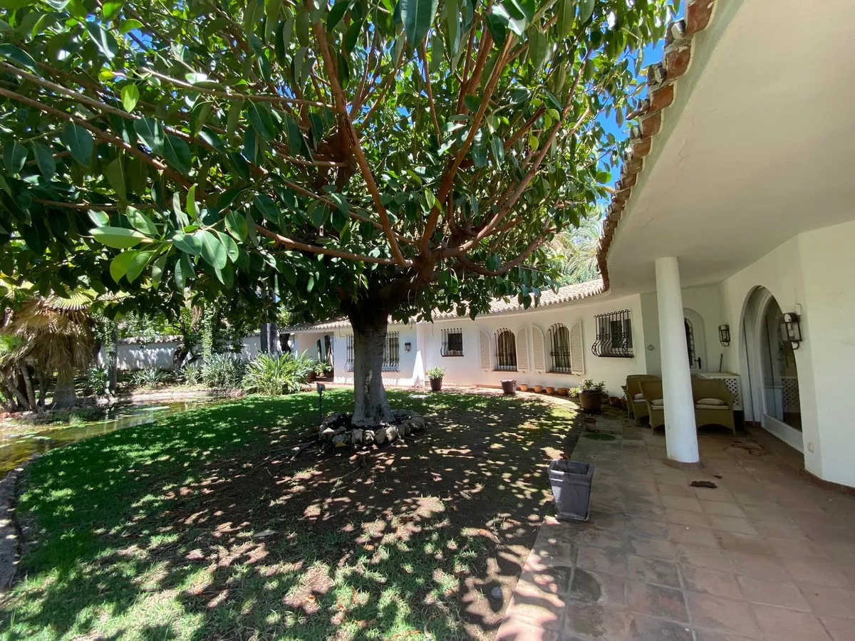 23ffe210-70d6-4e81-b095-8d14d525a8e6