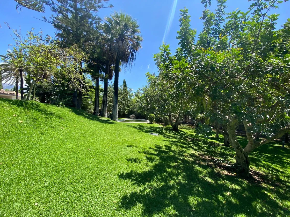 282f538e-4e04-4b5a-8a54-29433b8d9114