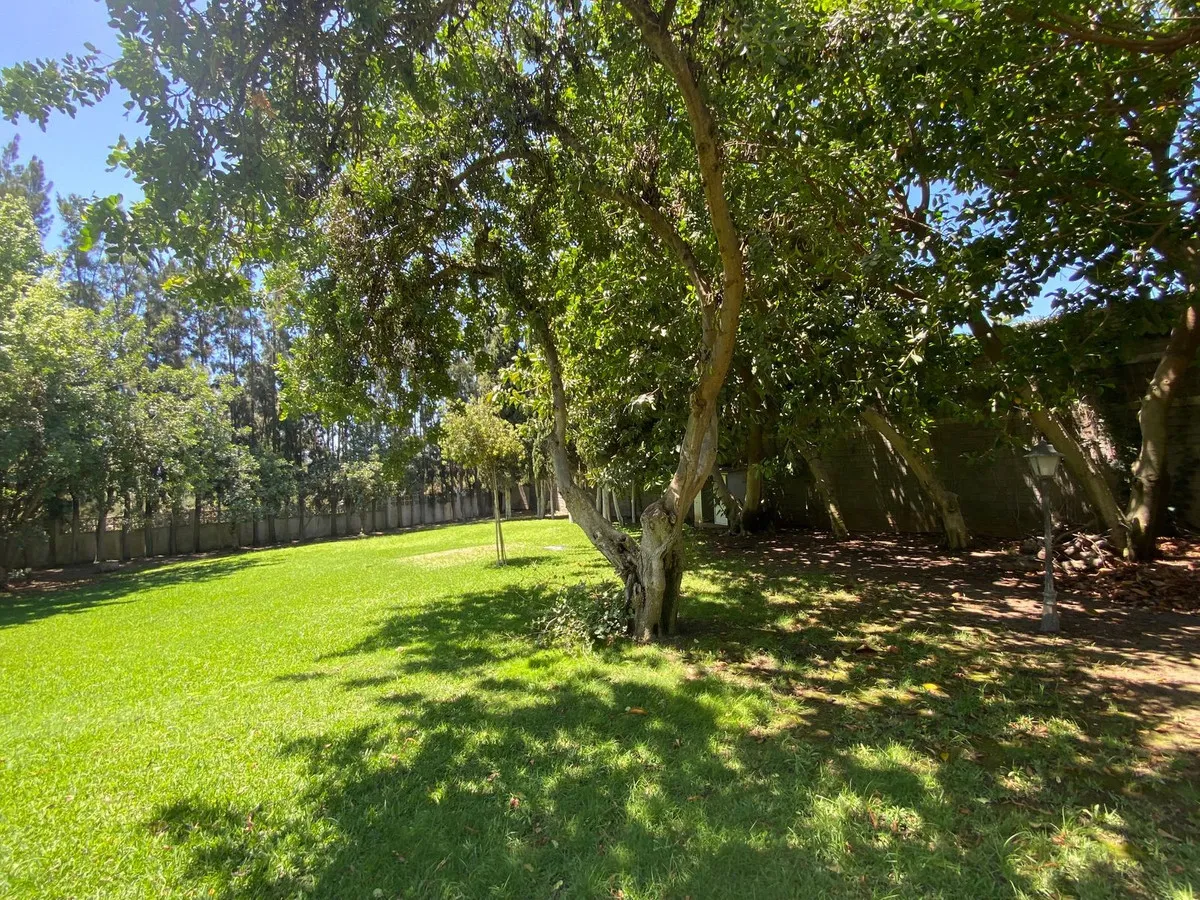 72af8a8f-62f6-4187-8134-2dfe3168c056