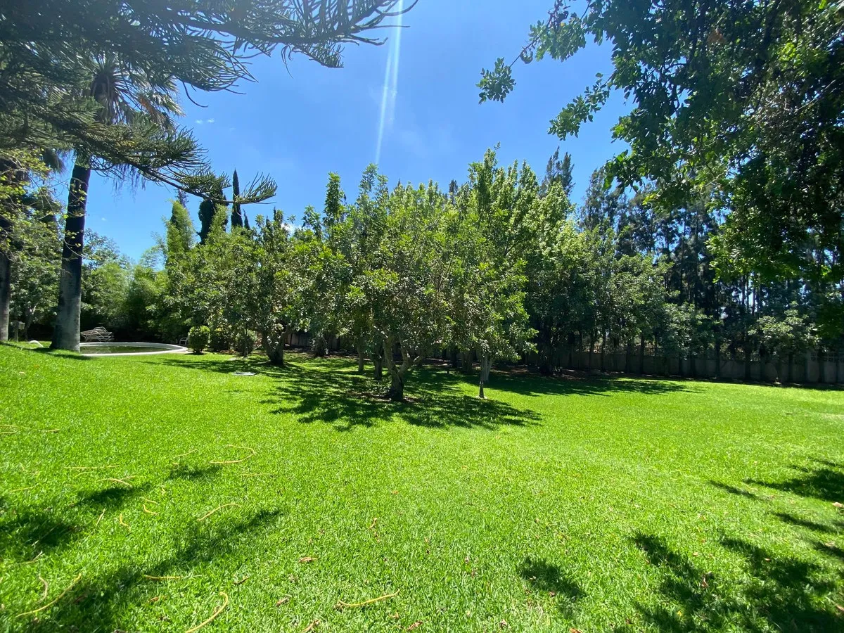 a63c475b-1ae4-45e5-bc3d-e5d795885187