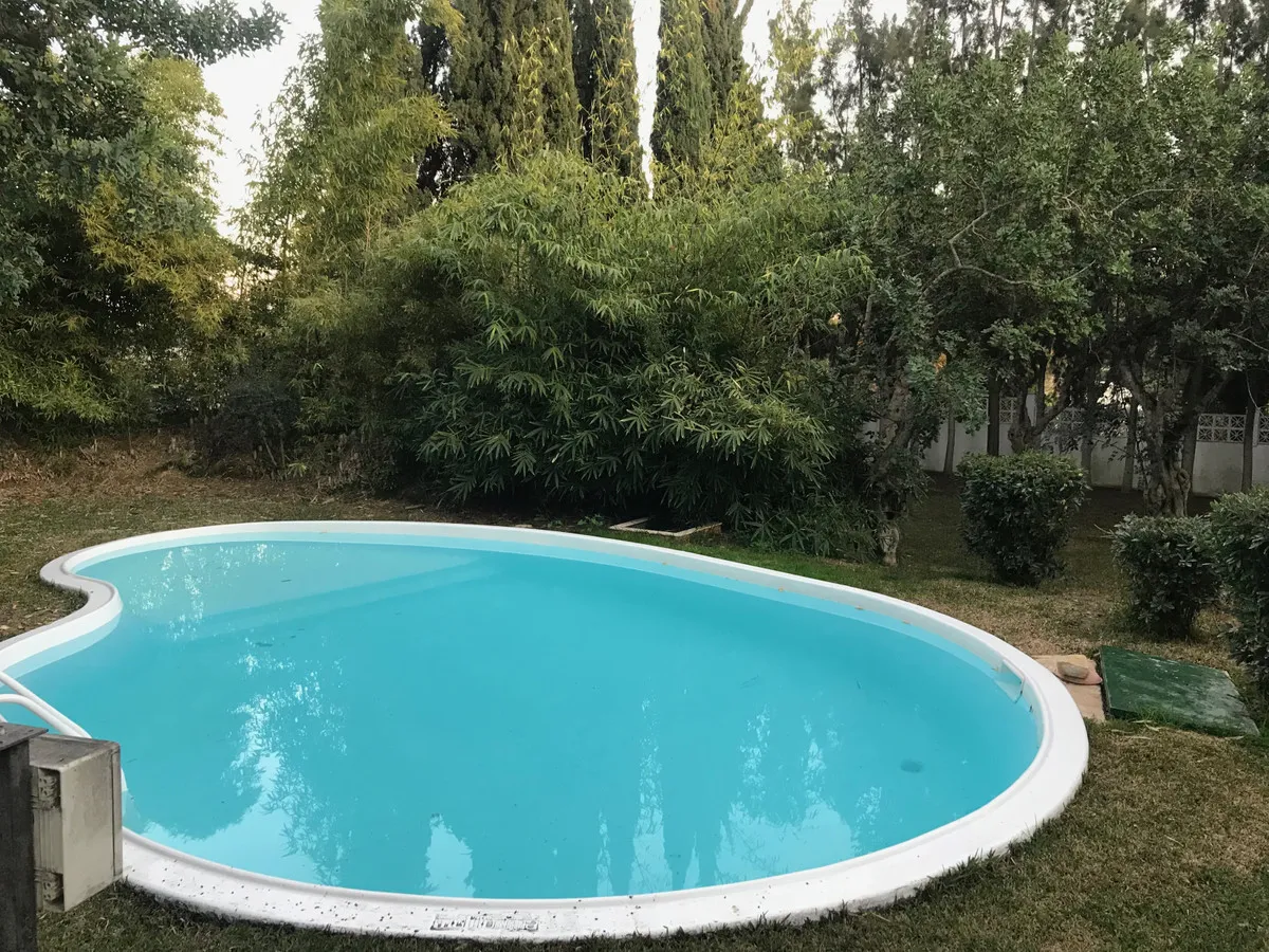 d408b16d-5d28-4954-8cab-00113e084f1f