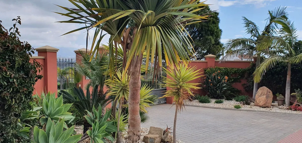 3ab7d8d5-38fe-4b2a-bf06-fdd7e07a9b91