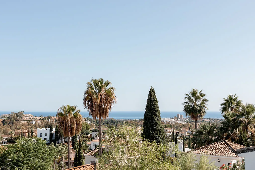 2996c9e1-9a12-437e-b659-eab060237204