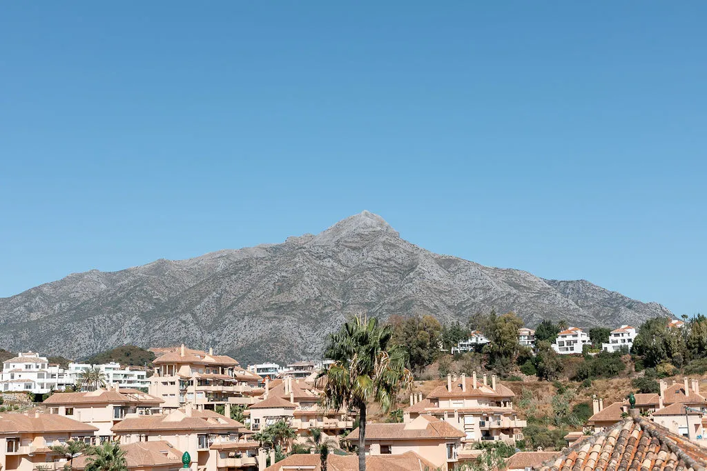 c1d8f896-92e3-4ae1-99b4-7cf3edda7a7e