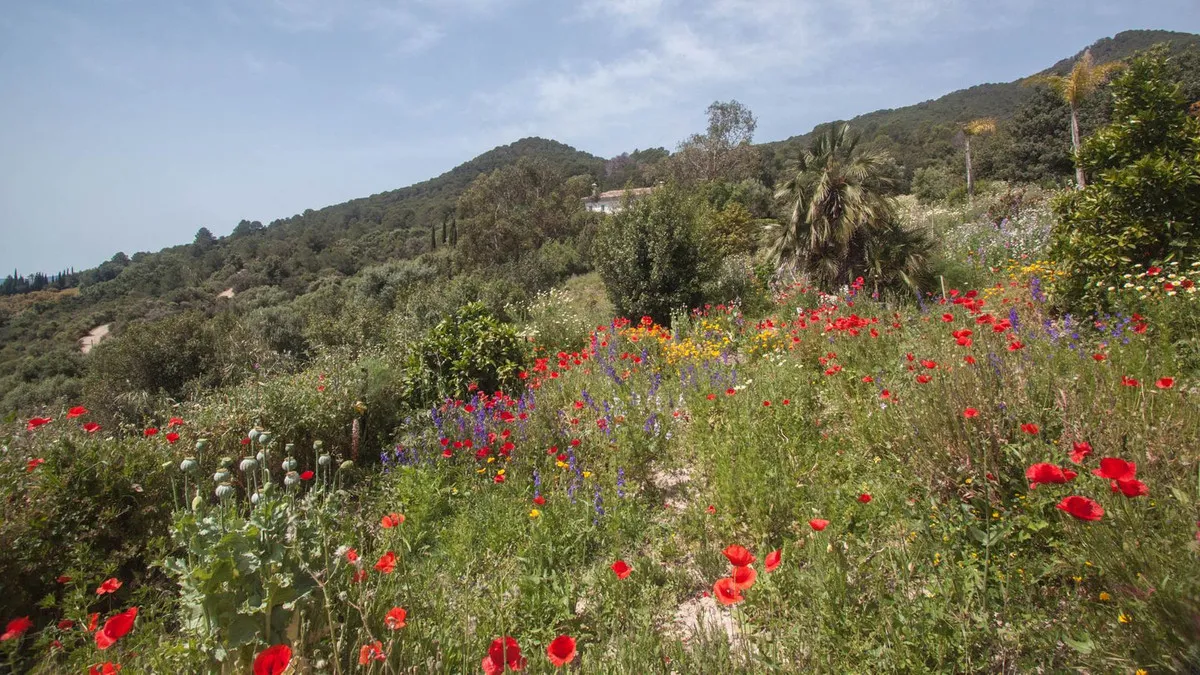 1e2d48d6-1db1-4eef-8ca0-925d0d7bc5be