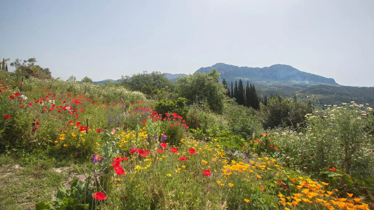 22d27340-2034-4abc-b9fc-6101a442a0d7