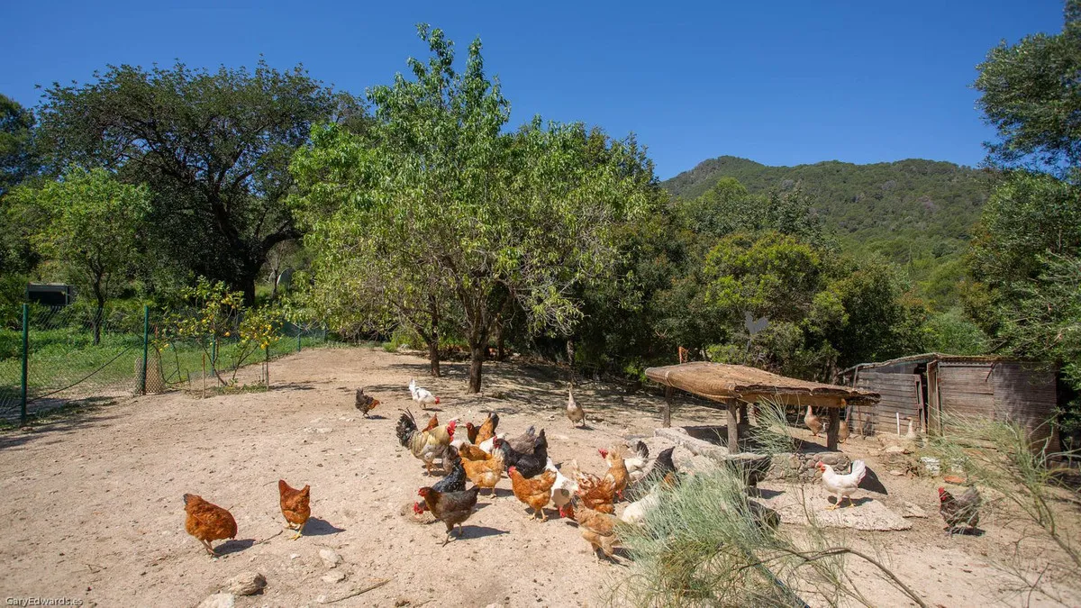 293e3837-7b29-4760-9487-f4ab7fcef77b