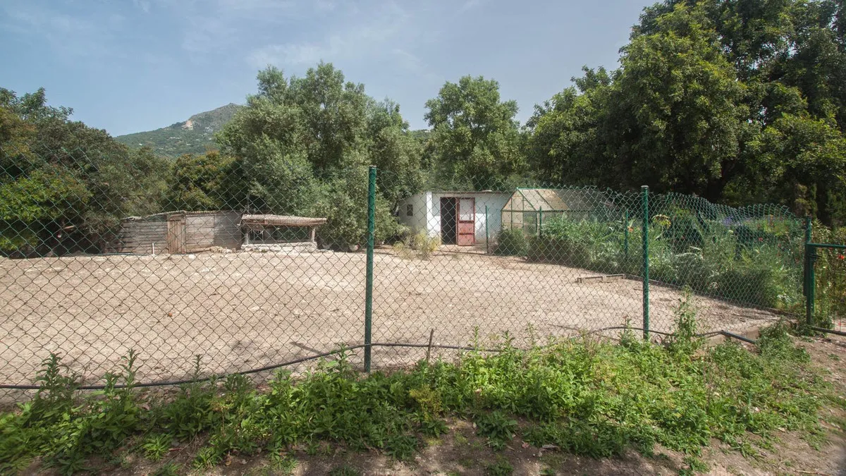 35c03ea6-4170-4240-97ed-ccf9292acc64