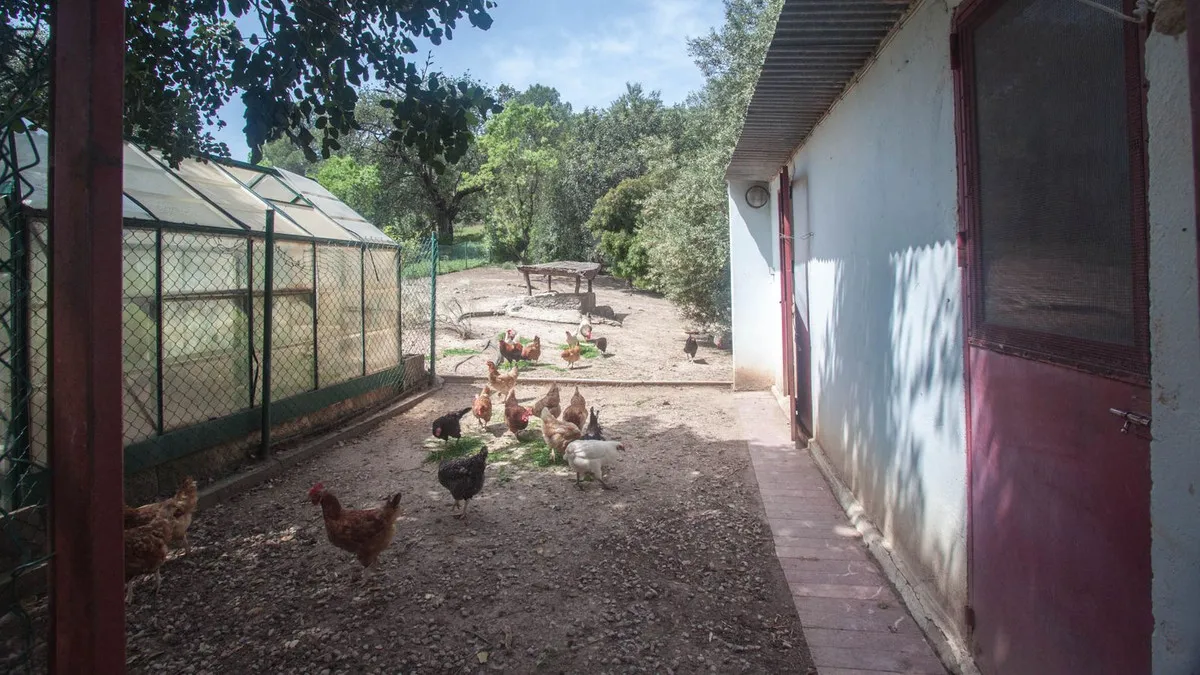 95b6d656-3b03-49dd-9e7c-336ba3f75e35