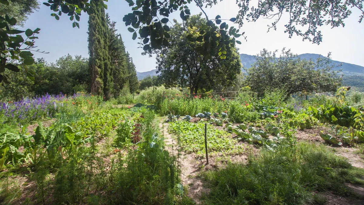 b80c089c-6705-4eca-8c03-cf645cda60ee