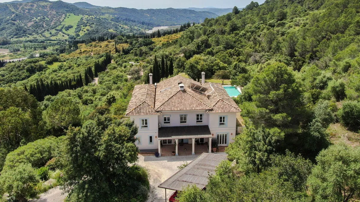 c2cd6584-e5d0-4f7d-b834-76d733ce049c