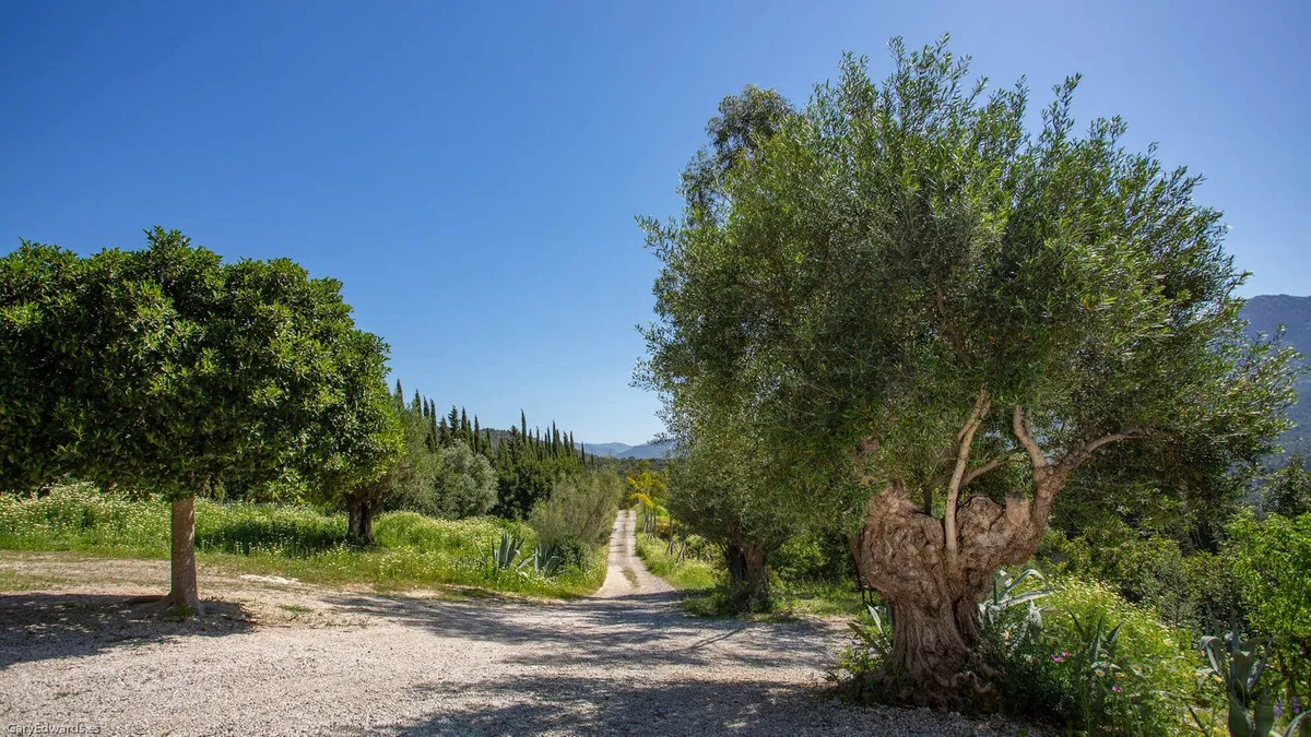 c3b22a5e-1c84-4720-9626-102163a99162