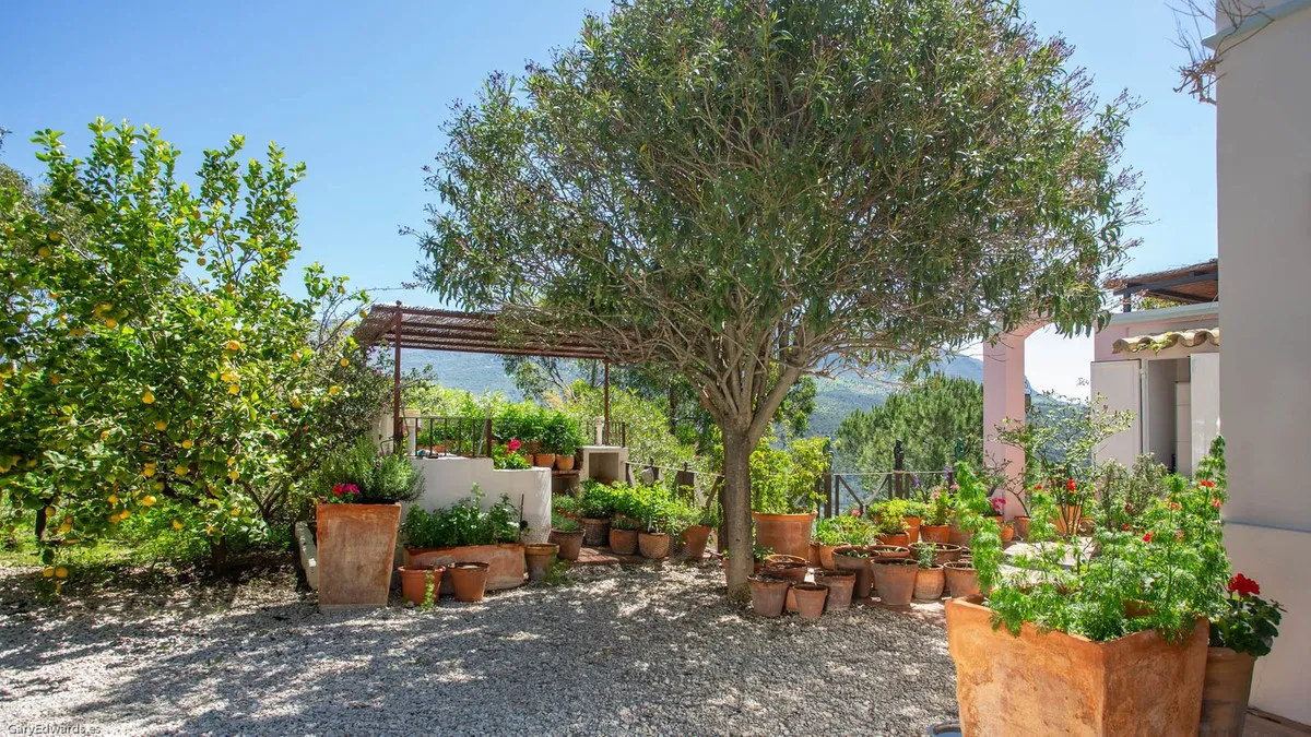 cf5618a5-d212-4c6a-80b1-261f3f78da91