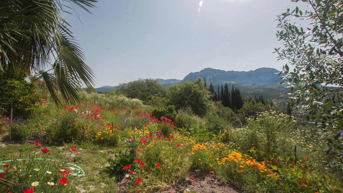 dc812701-f3ce-4d22-bc3a-c93e79bab32e