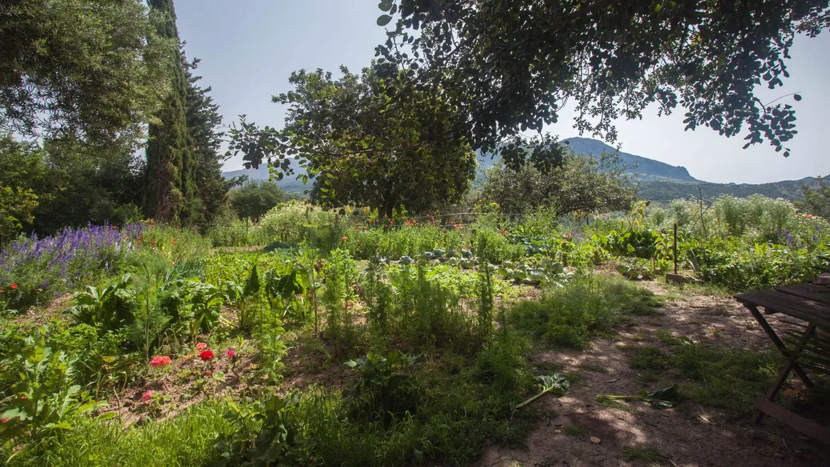 ede28392-796a-4b19-aaff-9ddd362ad800