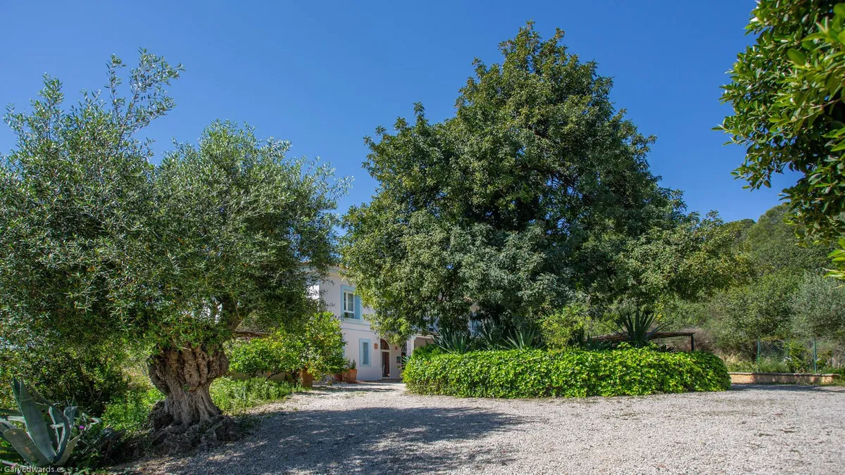 f9c2726d-a06c-4f51-acbf-4445b67152d6