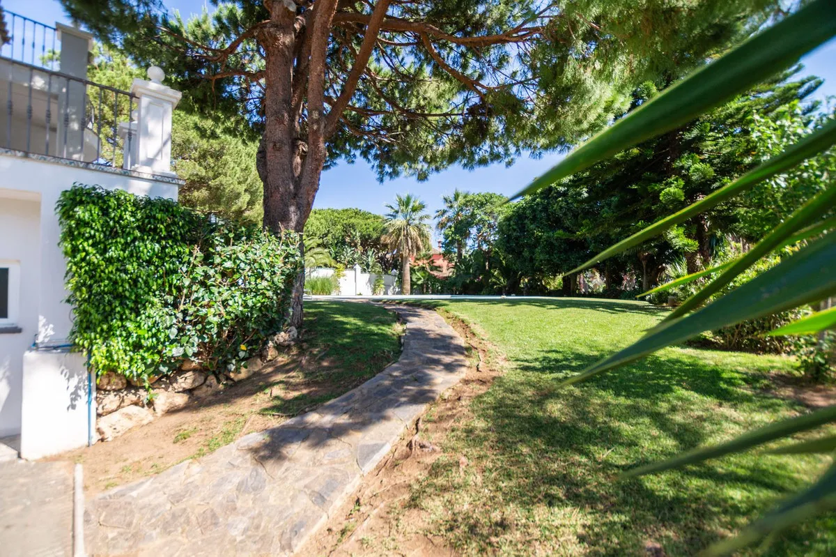 4373756d-3a97-4e54-88de-34c8e8862a9b