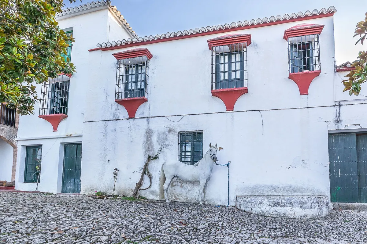 ac1b0597-8bf3-4855-90c6-596e2229c737