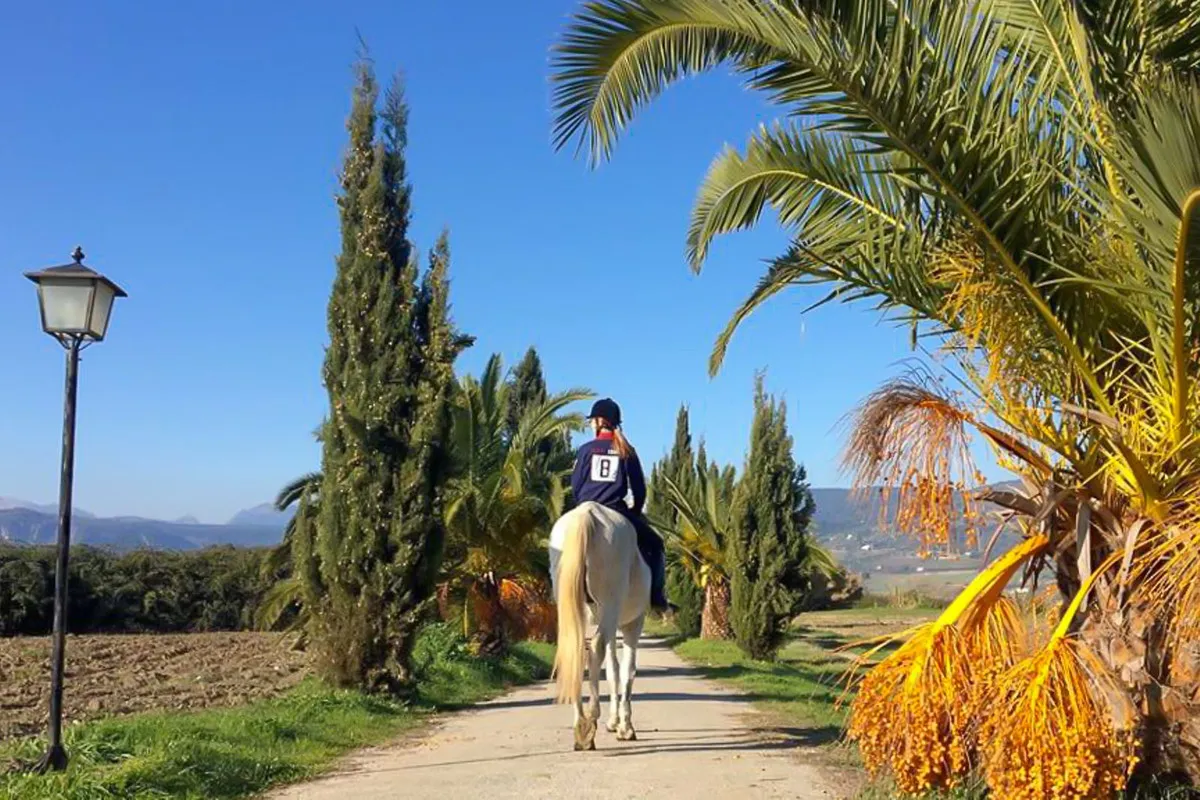 e26bf630-d41b-43df-9a50-7db3fb1963db