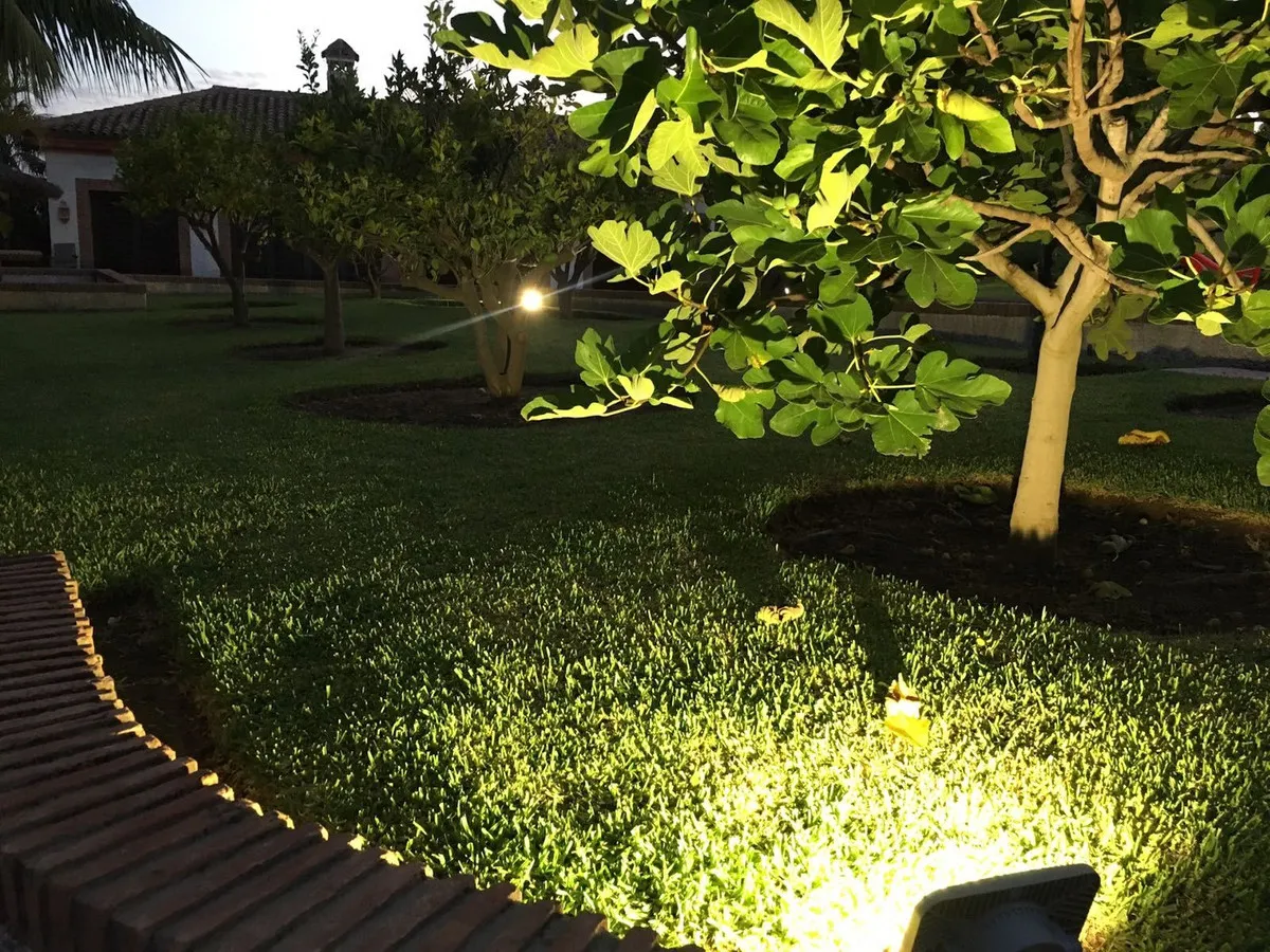 57baffd5-54c7-401f-a1c1-67efba6bf722