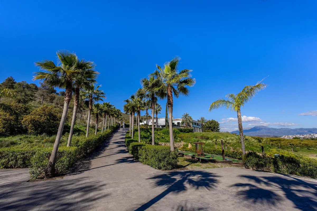 8c25d432-3335-4b94-91a6-608510cfd71f