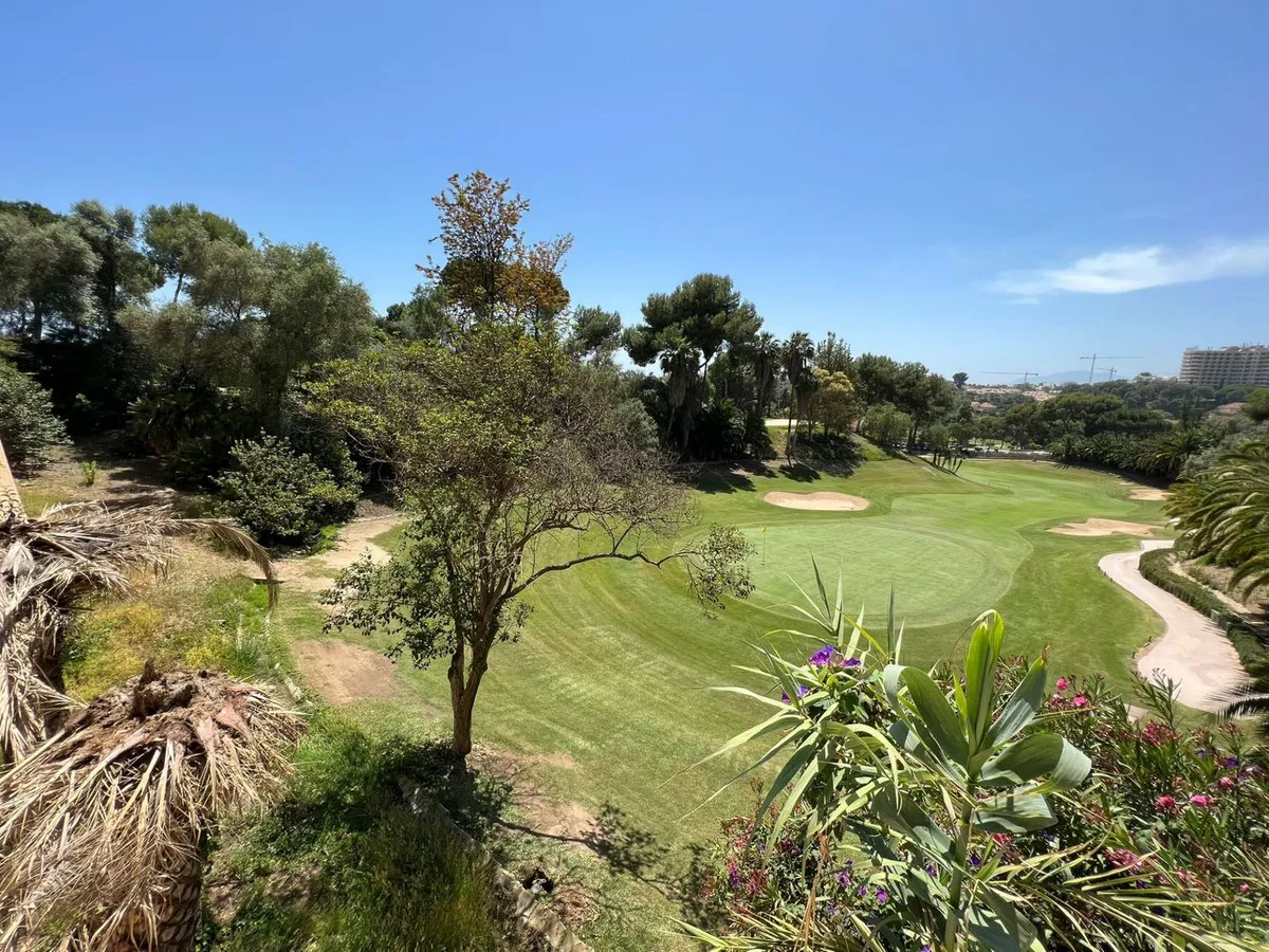 00a4a86f-976b-43bc-a749-8ba182b124f6