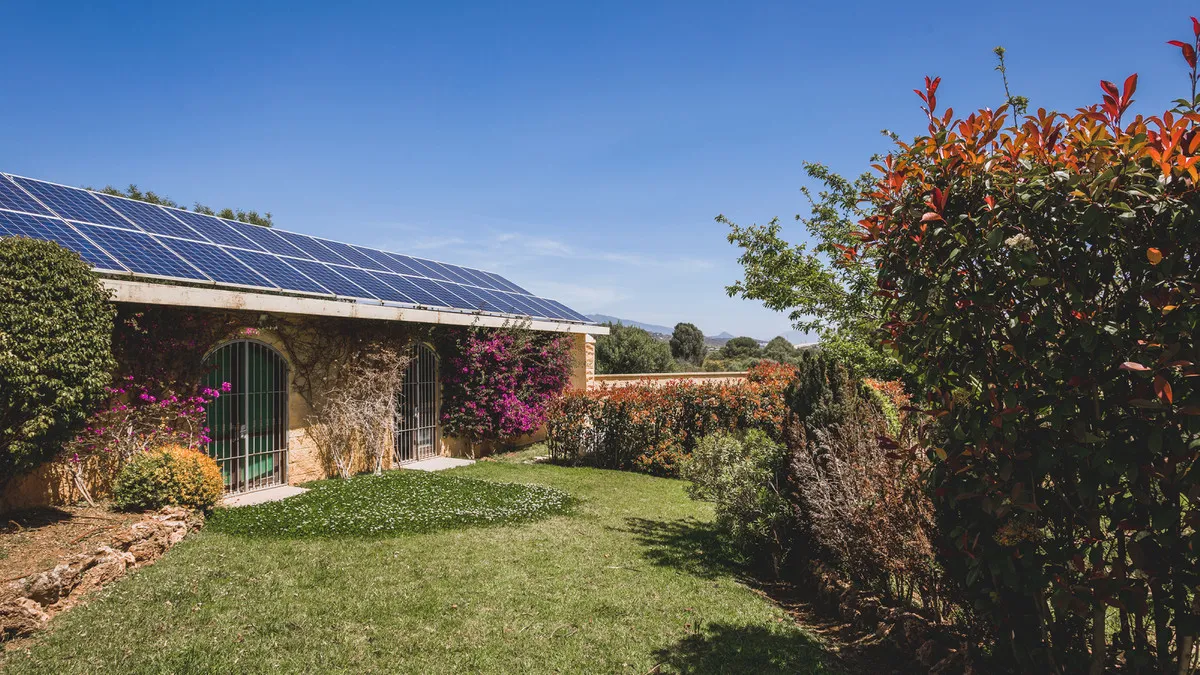 558c637c-e4c6-4b84-851e-bfbfed9e2e02