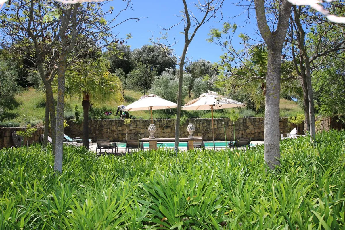 0bfe882c-5bbe-4a98-9a50-7cbfe4d7d7cc