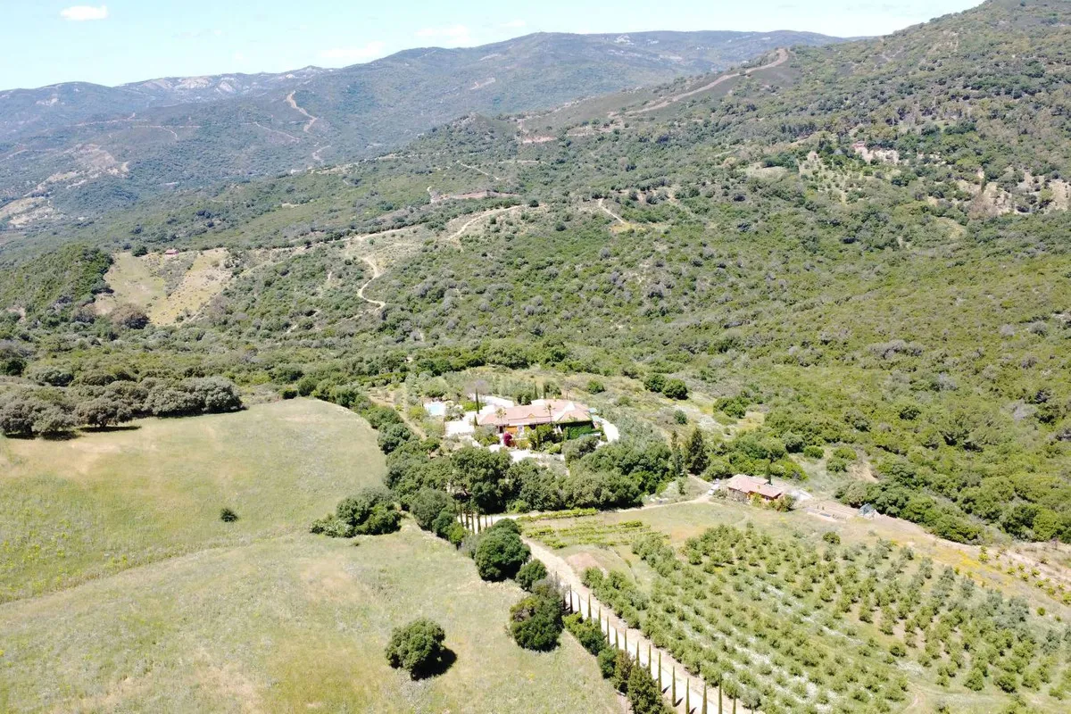 3f5034dd-533e-4744-91f3-eebe72101f8c