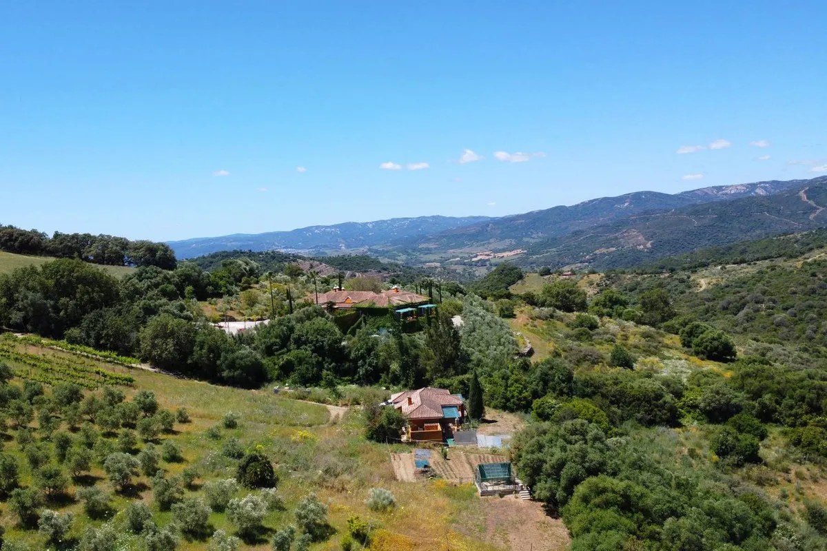 b131f53e-bf6e-4313-bb0f-a5211fe78350