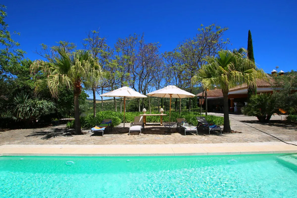 c7c71532-1a81-4ece-9130-97fb565edbba