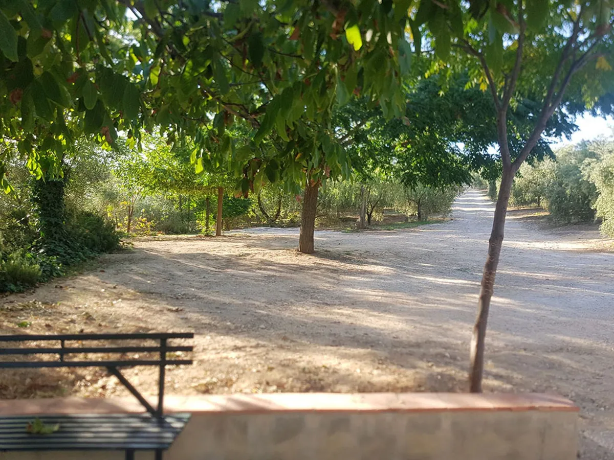 06246e0c-e877-45c8-a2d7-f32e35ea9dcd