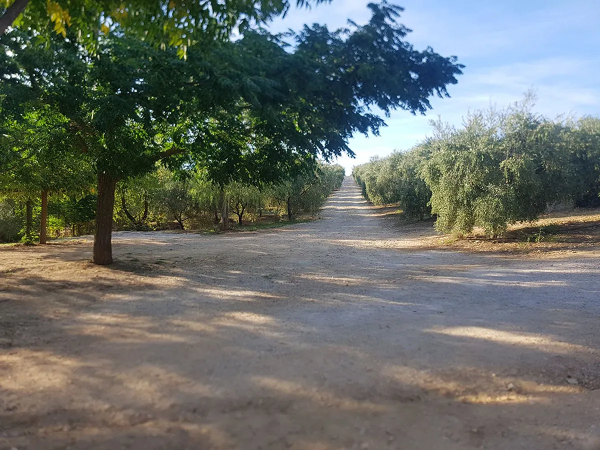 2c2cab30-5210-4f33-943a-83d90c7c0f86