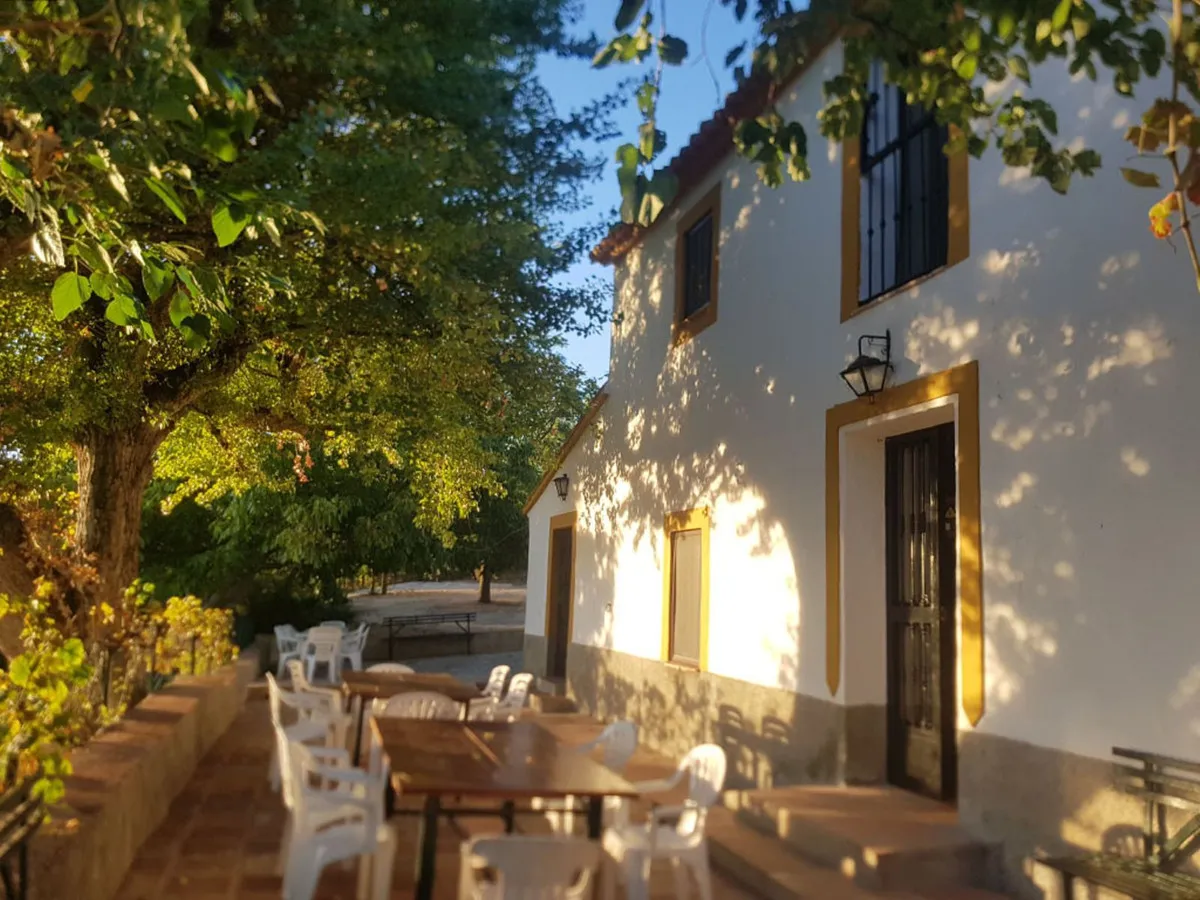 41f5ed16-2d96-44c2-8068-d3da18023f6c