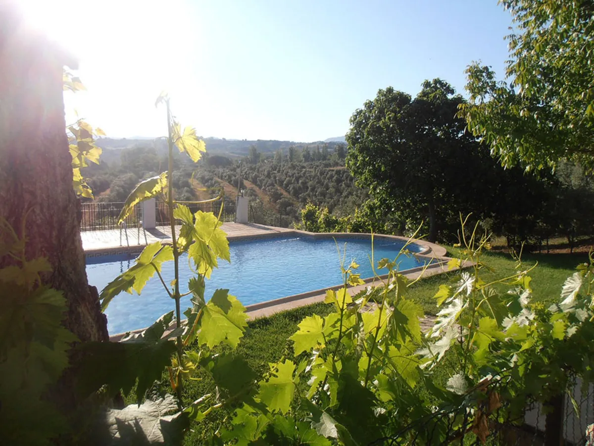 5f422154-44b1-48bb-bb8e-e2069219e336