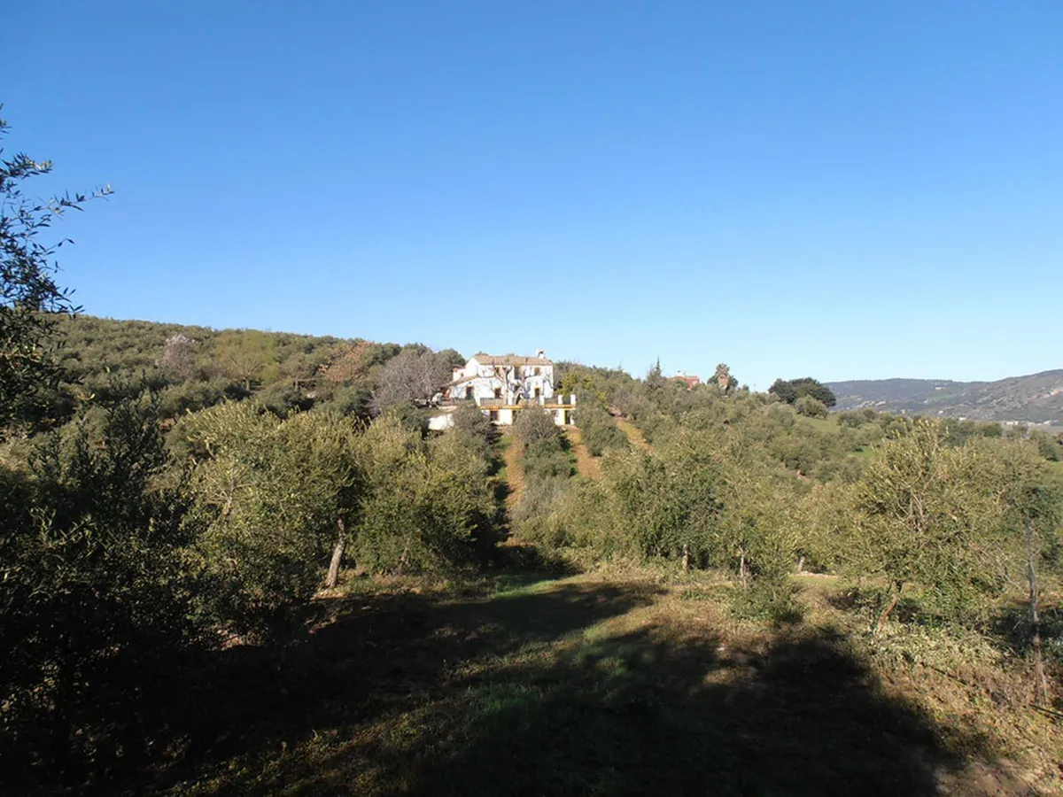 748af023-60ee-406d-b7d0-be51c83caff5