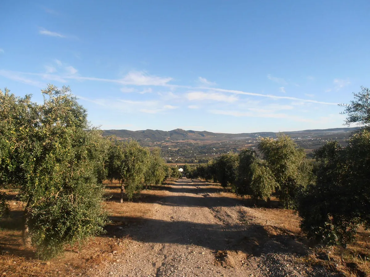 7fd84aee-1c58-4cc4-bd50-96f1bf67a3bb