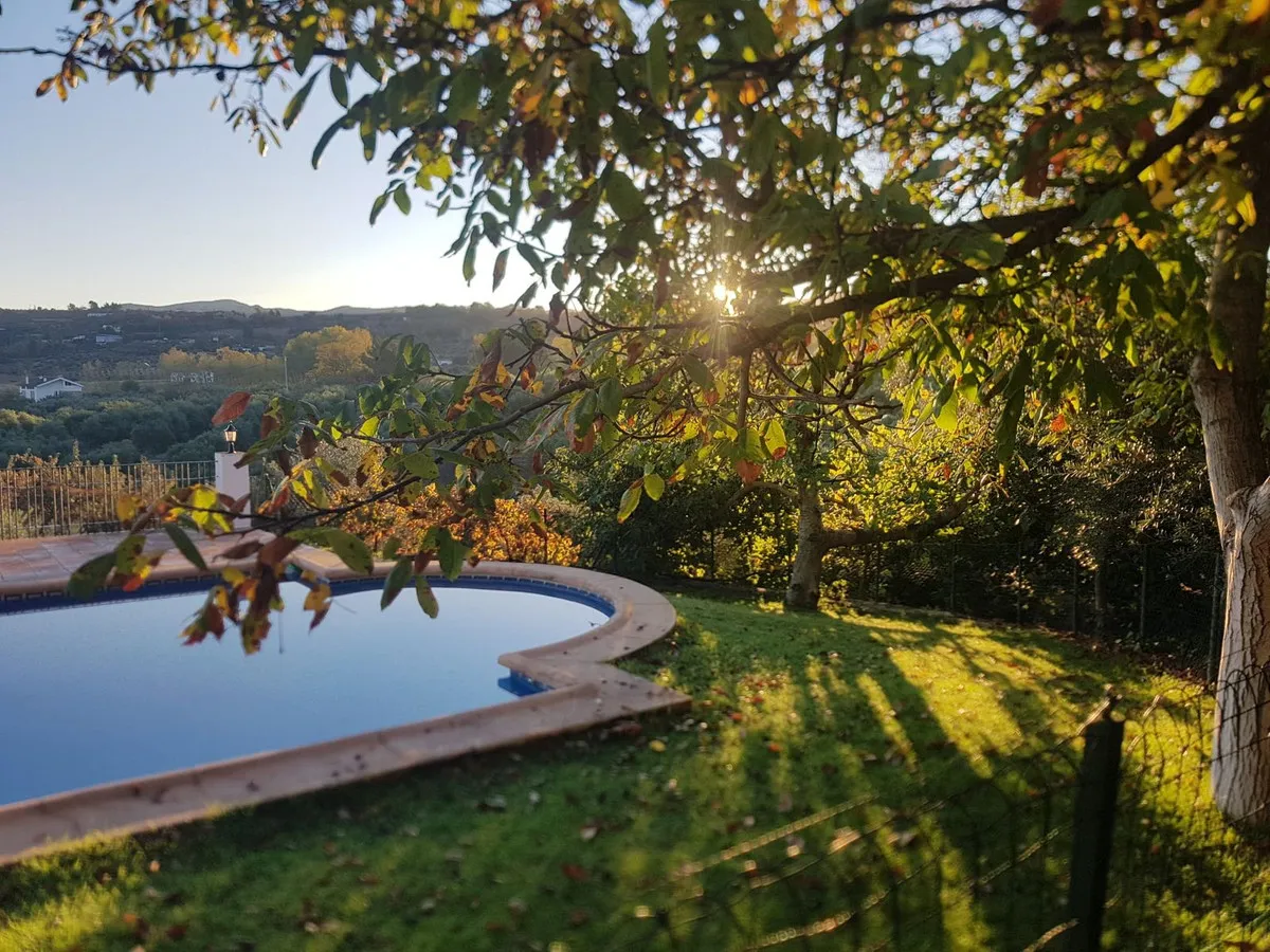 8308a705-f0b9-4fc3-982b-804931b36a96