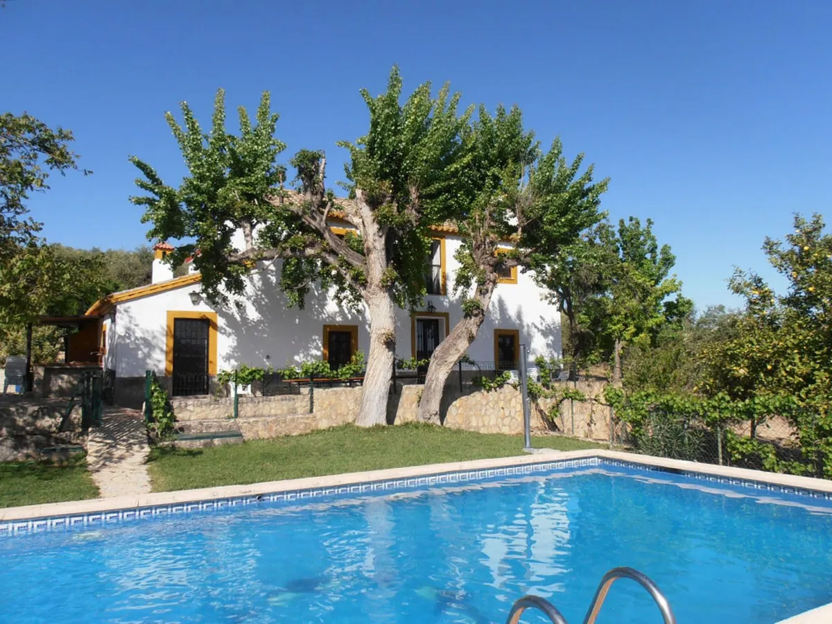 ba138289-058f-447a-b5a5-a4e8565e7a29