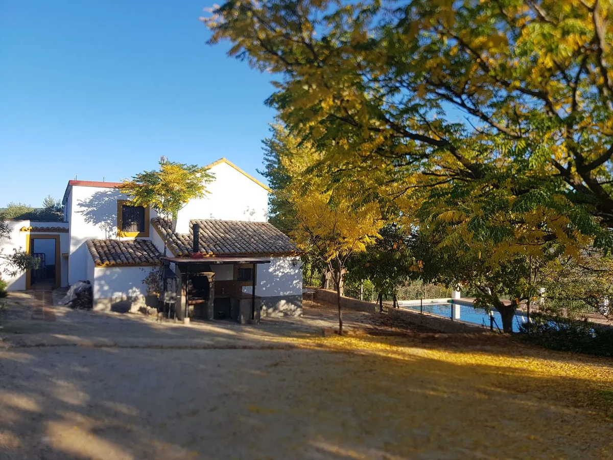 e5917006-5ff8-4fce-be2b-ba9b5ecc6be9