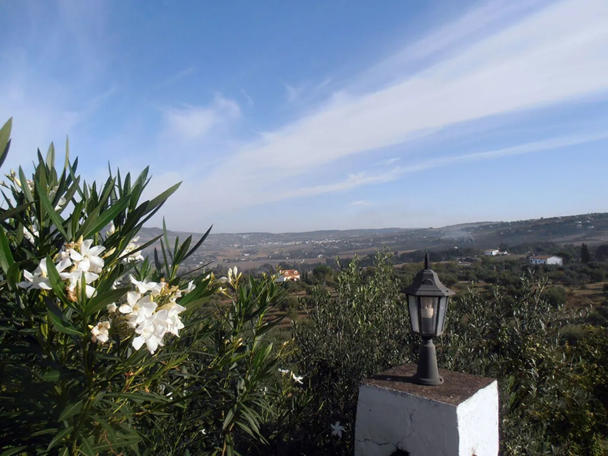 e77be852-025a-407a-aed9-53aedd8a4dee