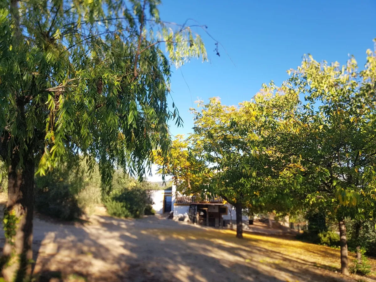 ee270a9c-28a2-4c64-9ce0-485eaa12b3a9